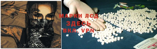 гидра Аркадак