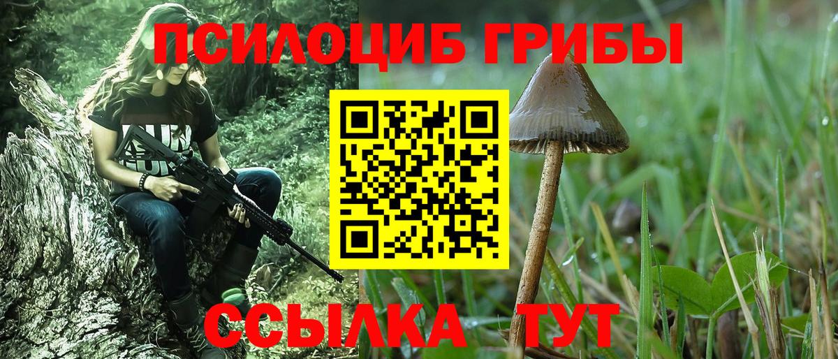 Чернушка  Псилоцибиновые грибы Magic Shrooms  Вход с VPN 