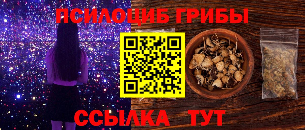 Галлюциногенные грибы Psilocybe Чернушка